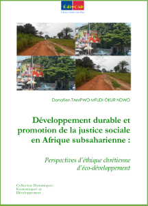 Développement durable et promotion de la justice sociale en Afrique subsaharienne : Perspectives d’éthique chrétienne d’éco-développement 
